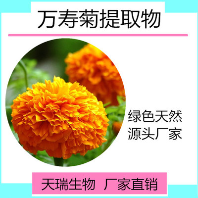 萬壽菊粉 葉黃素天瑞生物