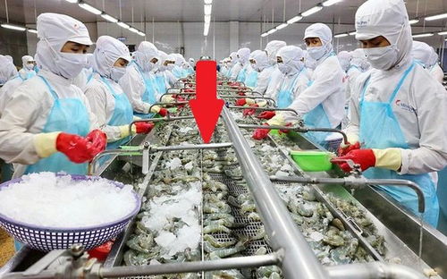 這種越南產品出口到100個國家,產量超過100萬噸,收入超過34億美元