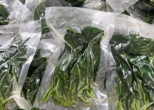 厲害了 鹽亭這個村子靠桑樹走上致富之路